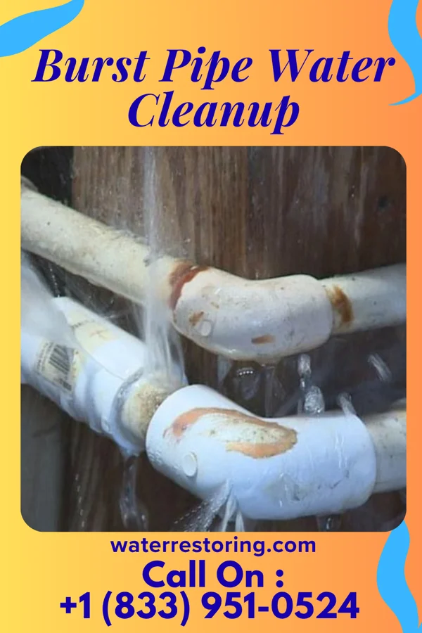 Burst Pipe Water Cleanup in Road Runner, TX
