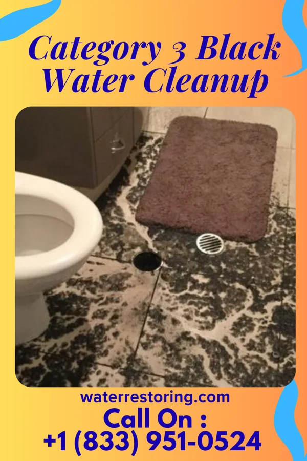 Category 3 Black Water Cleanup in Road Runner, TX