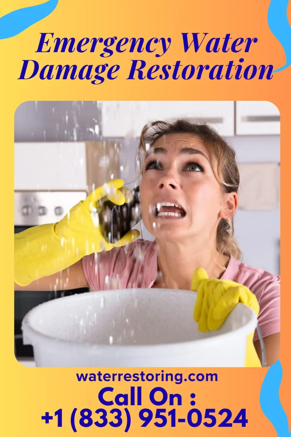 Emergency Water Damage Restoration in Road Runner, TX