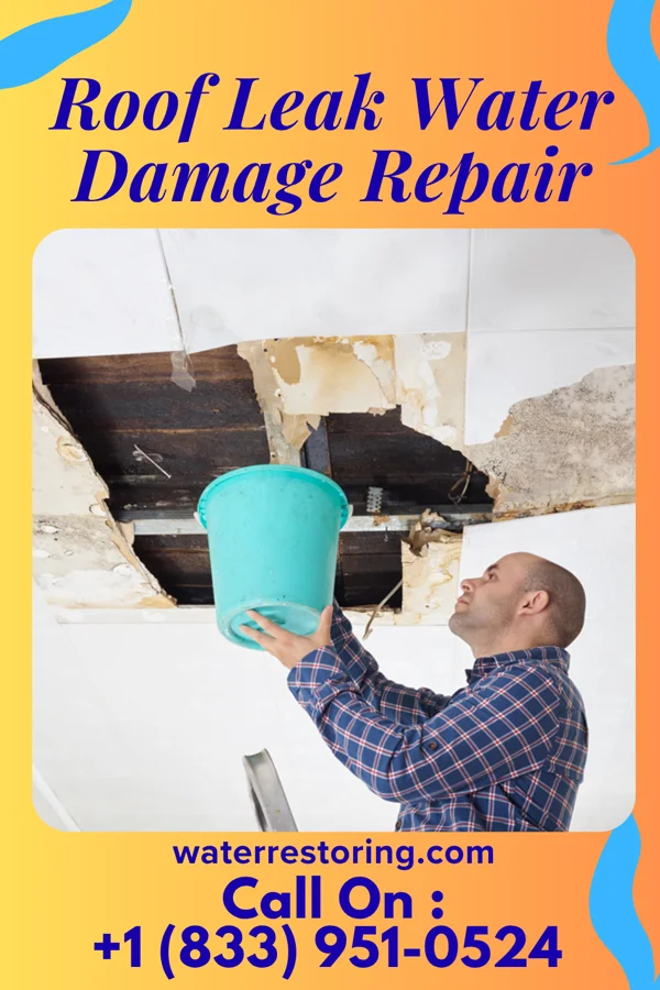 Roof Leak Water Damage Repair in Road Runner, TX
